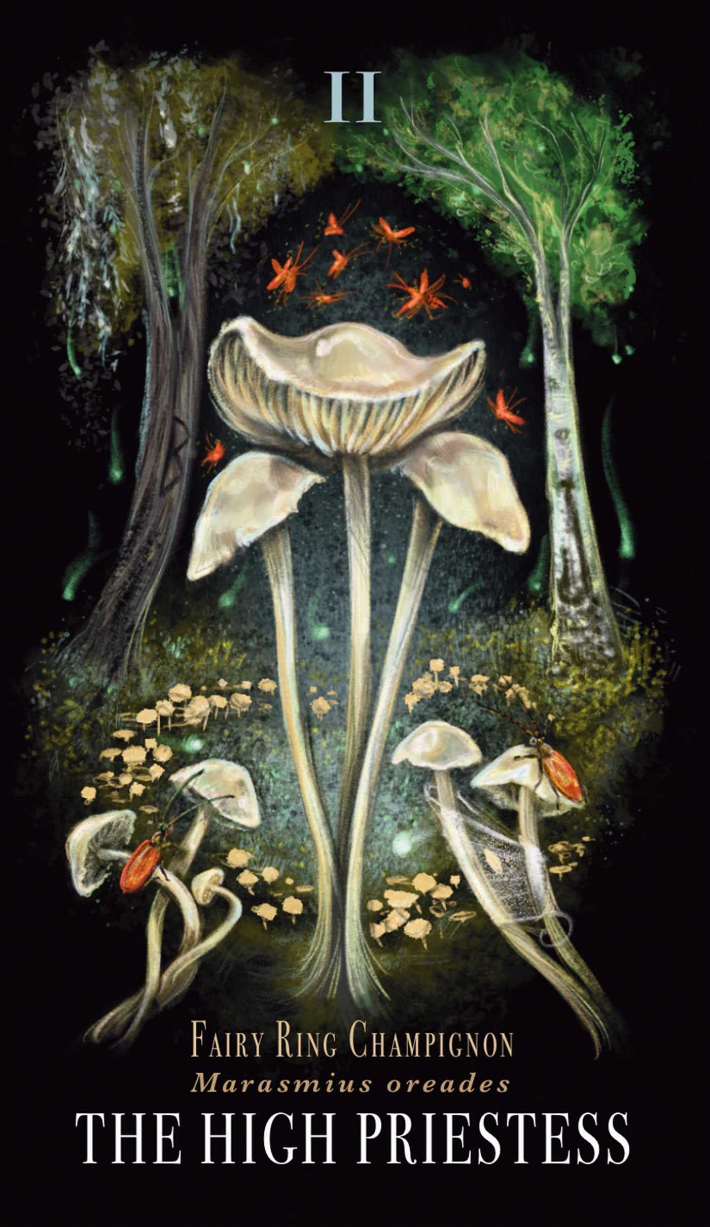 Midnight Magic: A Tarot Deck of Mushrooms - Image 2