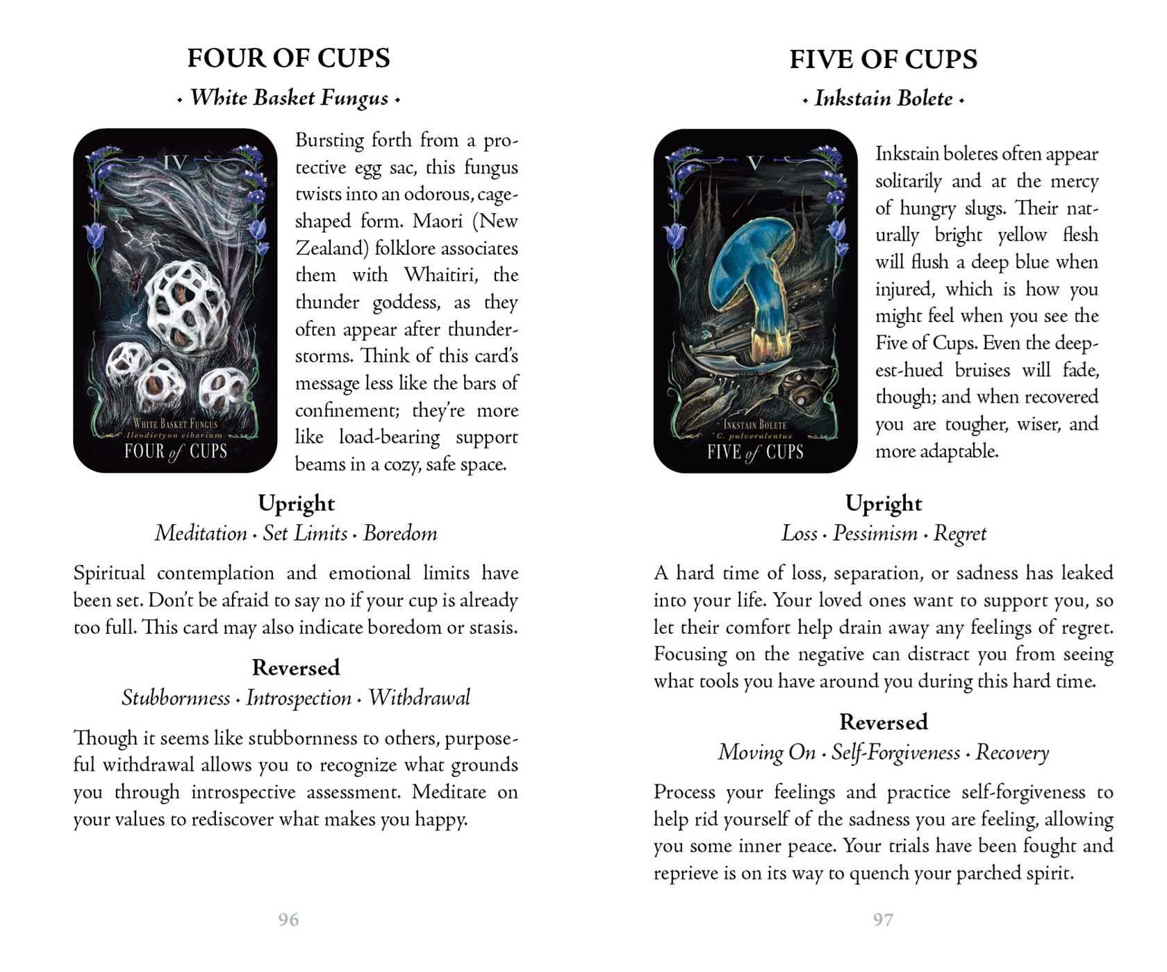 Midnight Magic: A Tarot Deck of Mushrooms - Image 3